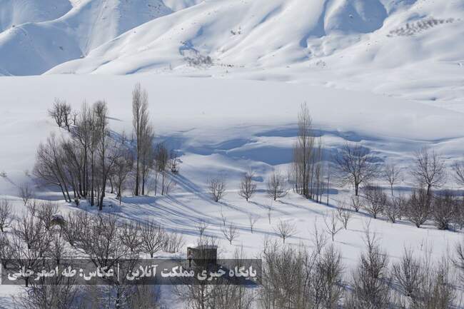 ارومیه زیر پوست برف