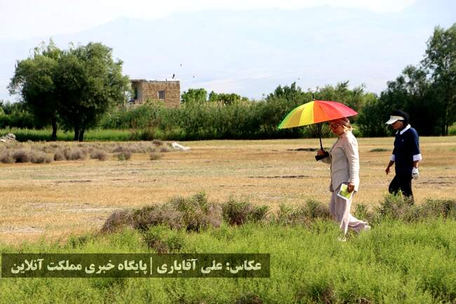 آغاز مسابقات گلف جایزه بزرگ آقایان جام چی‌چست و مرحله پایانی لیگ گلف