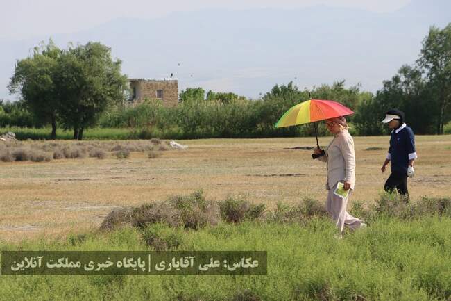 آغاز مسابقات گلف جایزه بزرگ آقایان جام چی‌چست و مرحله پایانی لیگ گلف