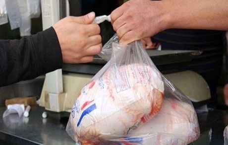 مرغ تولیدی مازاد استان کرمانشاه به عراق صادر خواهدشد