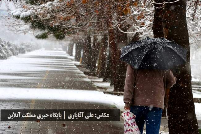طراوت زمستانی ارومیه با اولین برف سال / تصاویر
