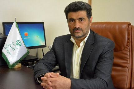 اساسنامه فدرسیون‌های ورزشی اصلاح می‌شود