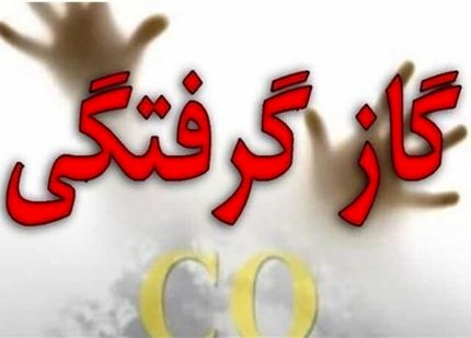 مسمومیت ۶ نفر با گاز منواکسیدکربن در  شهر فیروزه