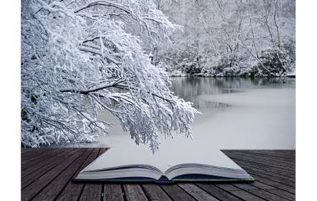 آغاز ثبت‌نام کتابفروشان در طرح "زمستانه کتاب" از هفته آینده
