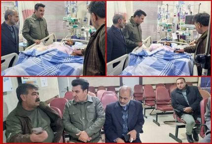 محیط بان شاهرودی از کما خارج شد و به هوش آمد