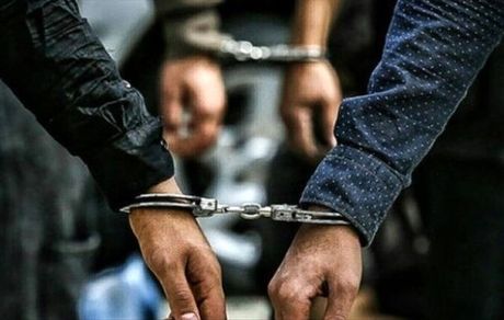 قرار دادن اطلاعات مجرمان حرفه‌ای، خطرناک و سابقه‌دار در اختیار ناجا