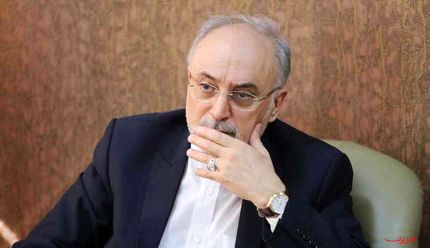 صالحی: خانواده‌های جان‌باختگان سقوط هواپیمای اوکراینی ما را در مصیبت‌شان شریک بدانند