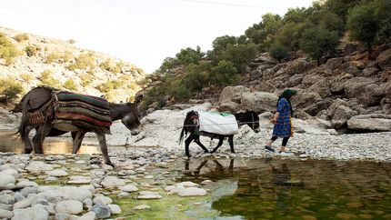 کم‌آبی، مشکل جدید عشایر آذربایجان‌غربی