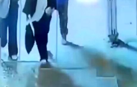 بازداشت عامل ضرب و شتم یک زن در گچساران