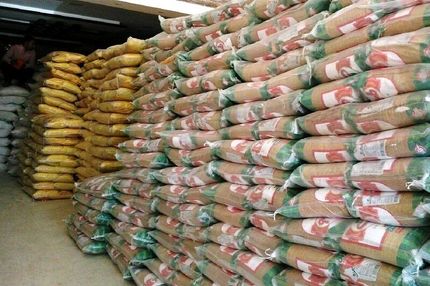 چرایی کاهش واردات برنج به کشور
