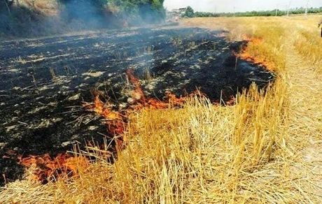 ۵۰ هکتار از مزارع و مراتع اسلام آباد غرب سوخت