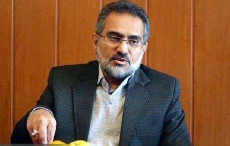 معاون پارلمانی رئیس جمهور: دولت از استیضاح فاطمی امین برای تعامل با نمایندگان استفاده می‌کند