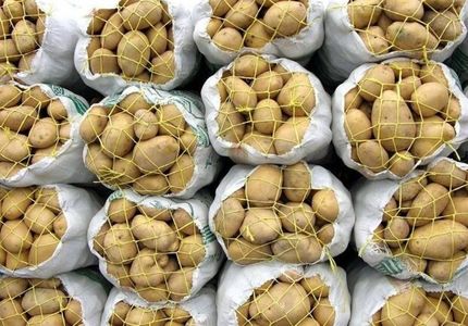 عوارض صادرات سیب زمینی افزایش یافت