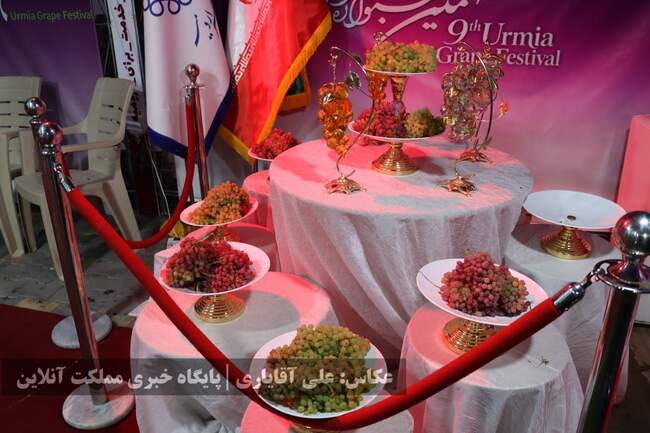 تصاویر | نهمین جشنواره انگور ارومیه 