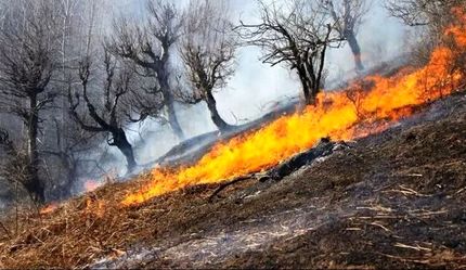 مهار آتش‌سوزی نمک آبرود چالوس