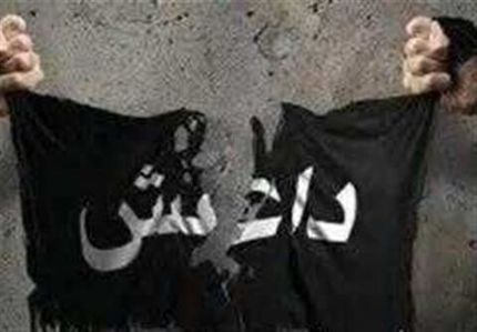 ۱۷ سرکرده داعش در عراق کشته شدند
