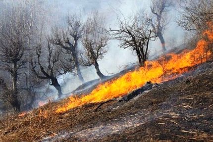 ۱۴ هکتار از مراتع شهرستان قوچان در آتش سوخت