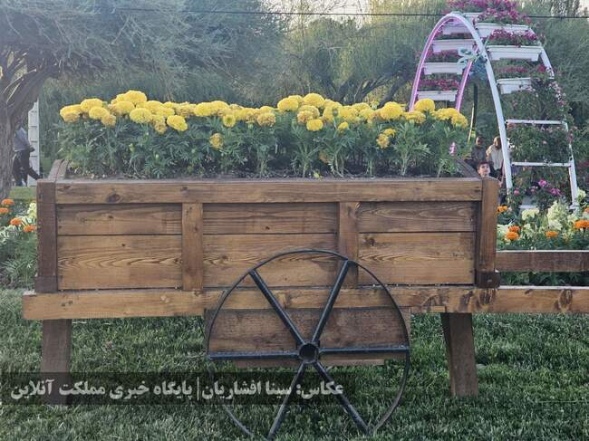 دوازدهمین جشنواره گل‌های ارومیه آغاز شد + تصاویر