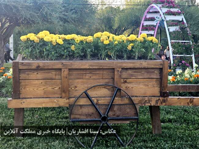 دوازدهمین جشنواره گل‌های ارومیه آغاز شد + تصاویر