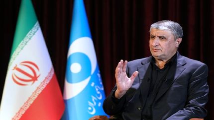 بازدهی بالای نیروگاه بوشهر توسط انجمن نیروگاه‌های اتمی دنیا تایید شده است