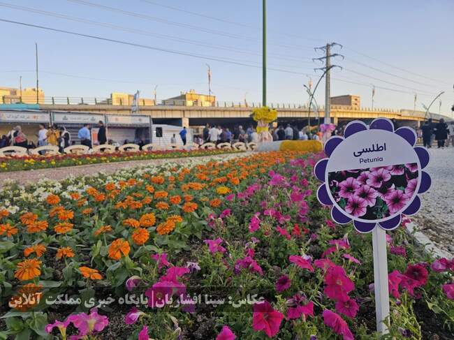 دوازدهمین جشنواره گل‌های ارومیه آغاز شد + تصاویر
