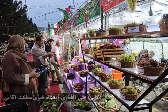 تصاویر | نهمین جشنواره انگور ارومیه 