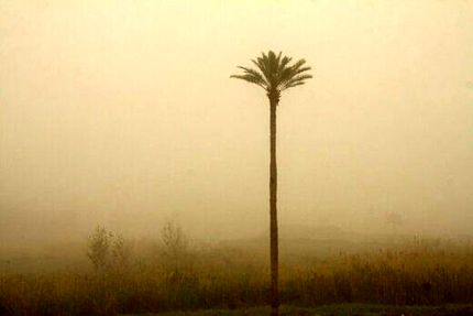 خوزستان غرق در گردوخاک