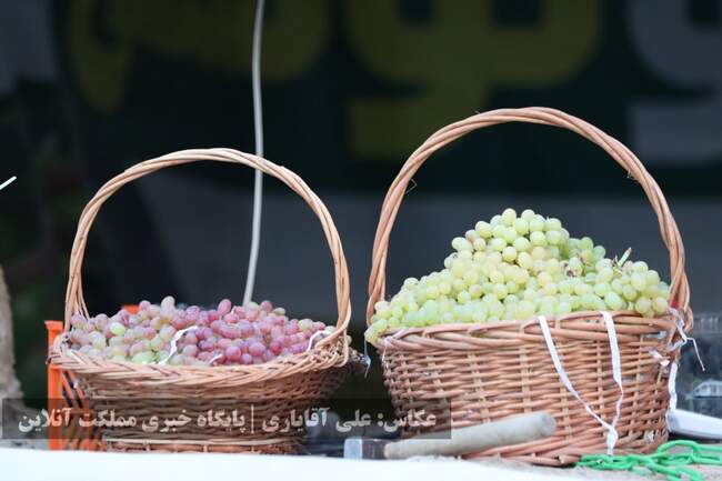 تصاویر | نهمین جشنواره انگور ارومیه 