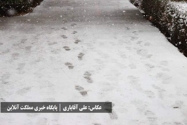 طراوت زمستانی ارومیه با اولین برف سال / تصاویر