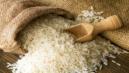 پیش‌بینی تولید ۲.۶ میلیون تن برنج در سال جاری