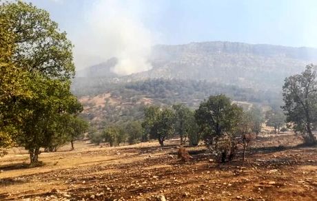 دستگیری عامل آتش سوزی مناطق سبزکوه و ارمند