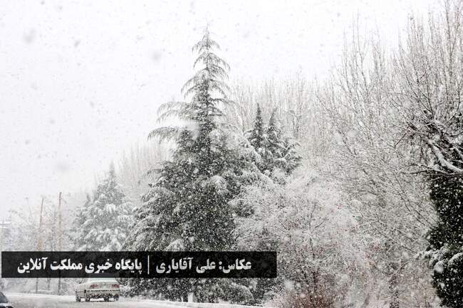 طراوت زمستانی ارومیه با اولین برف سال / تصاویر