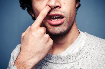 به بینی انگشت نکنید / خطر آلزایمر دارد