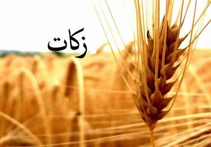 امسال، ۱۸۰۰ میلیارد تومان زکات جمع‌آوری شده است