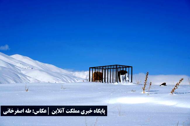ارومیه زیر پوست برف