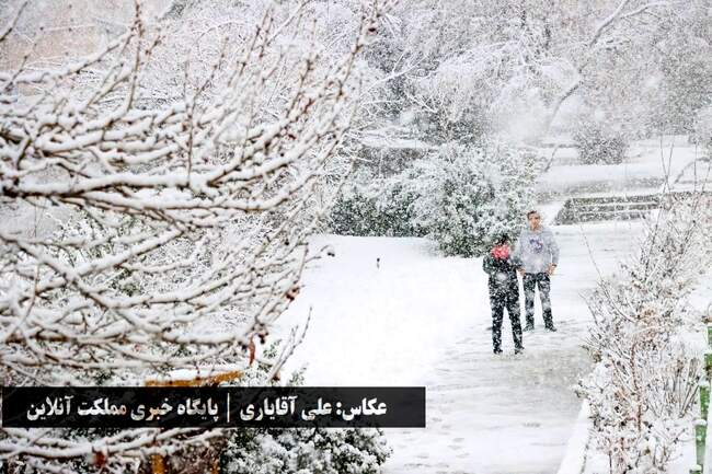 طراوت زمستانی ارومیه با اولین برف سال / تصاویر
