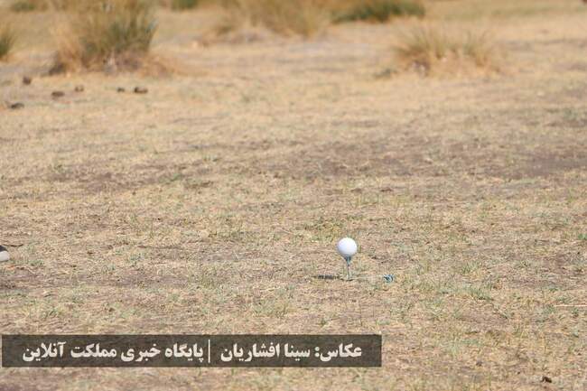 نفرات برتر مسابقات کشوری جایزه بزرگ گلف مشخص شدند