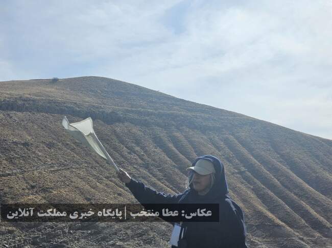 هفتمین المپیاد استعدادهای برتر ورزش کشور در رشته روئینگ دختران