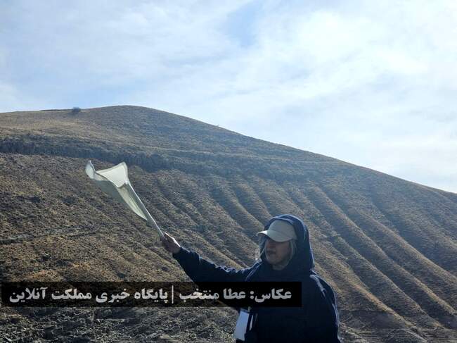 هفتمین المپیاد استعدادهای برتر ورزش کشور در رشته روئینگ دختران