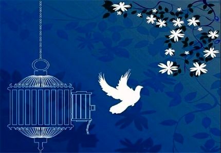 محکوم به قصاص در اهواز پس از ۳۶ سال انتظار بخشیده شد