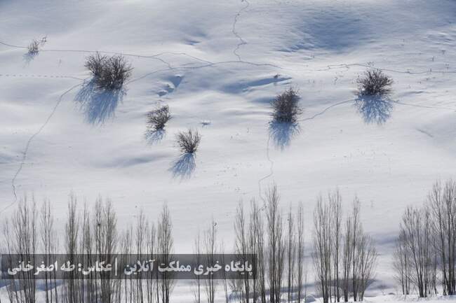 ارومیه زیر پوست برف