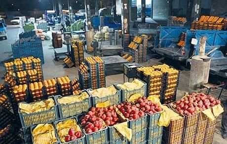 تدارک میادین میوه برای فروش سیب و پرتقال نوروز
